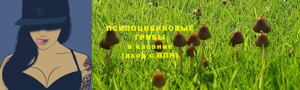 не бодяженный Абинск