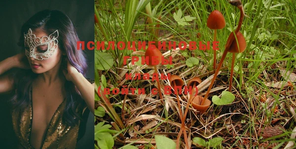 MESCALINE Абаза