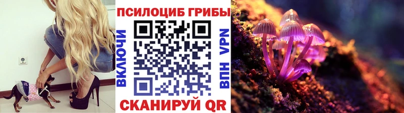 KRAKEN зеркало нарко площадка как зайти Псилоцибиновые грибы Psilocybine cubensis купить закладку Темников